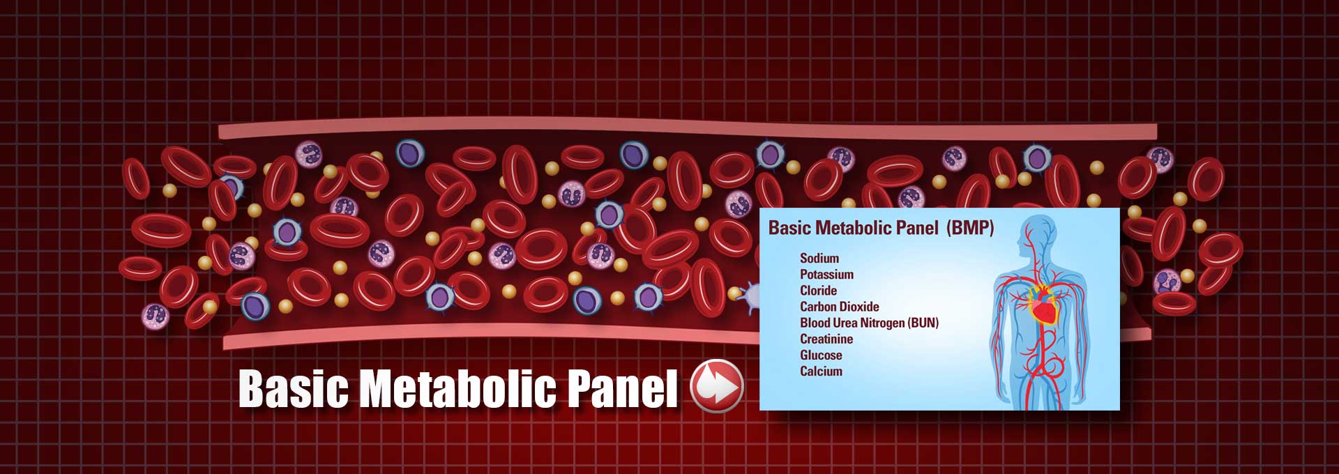 Lab Results Translated into Animated Videos and Audio Podcasts.