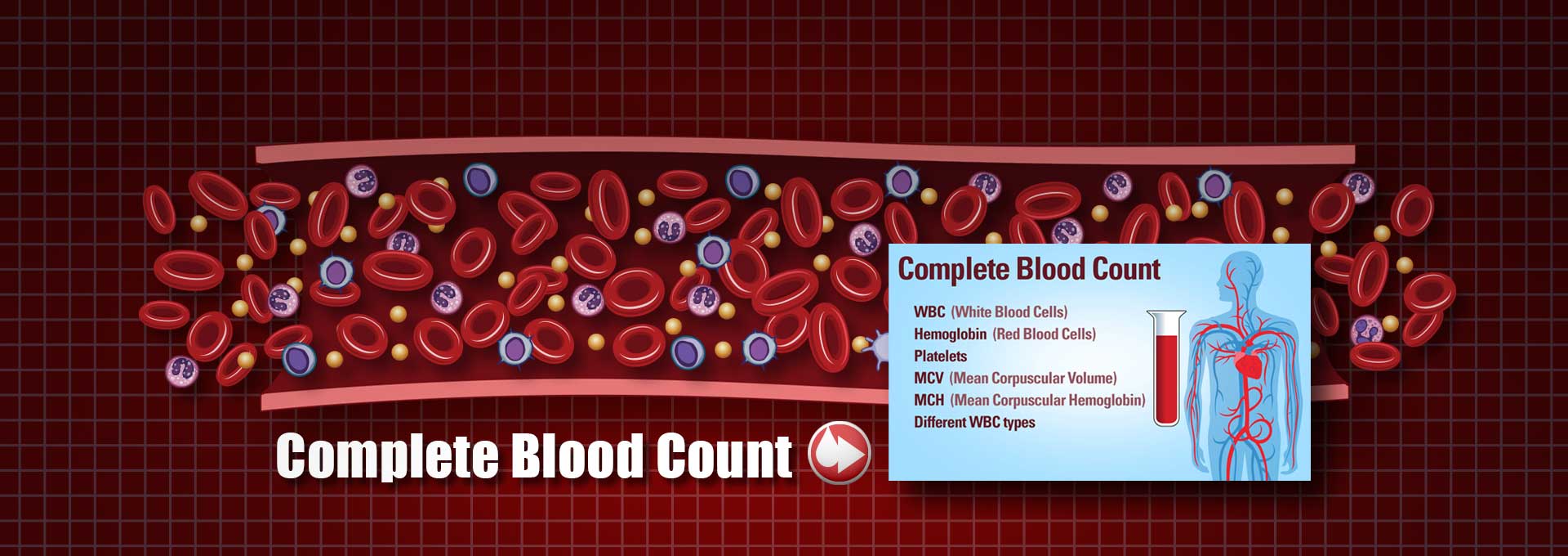 Your Lab Tests Explained Simply. Everything You Need to Know.